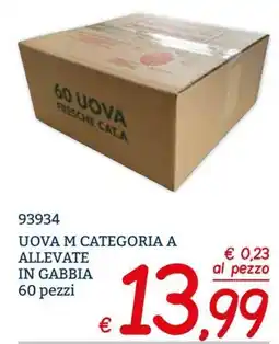 Zona Uova M Categoria A offerta