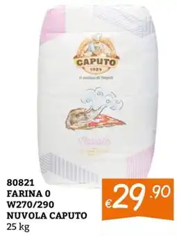Zona Farina 0 Nuvola Caputo offerta