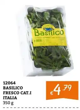 Zona Basilico offerta