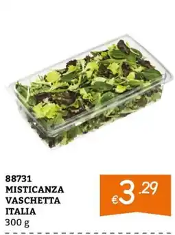 Zona Misticanza vaschetta Italia offerta