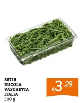 Zona Rucola vaschetta offerta