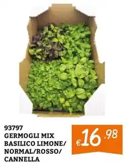 Zona Germogli mix basilico limone/normal/rosso/cannella offerta