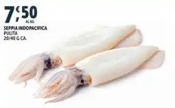 Gourmet Déco Seppia indopacifica pulita offerta