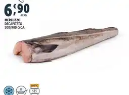 Gourmet Déco Merluzzo decapitato offerta