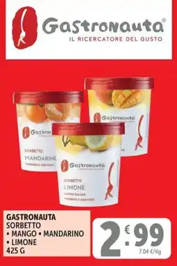 Gourmet Déco Gastronauta sorbetto offerta