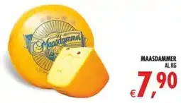 Deco Iperstore Maasdammer offerta