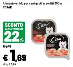 Iper La Grande Alimento umido per cani gusti assortiti CESAR offerta