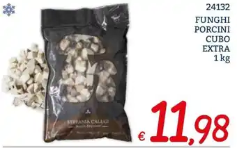Funghi porcini cubo extra