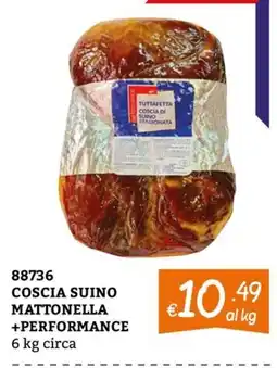 Zona Coscia suino mattonella +performance offerta