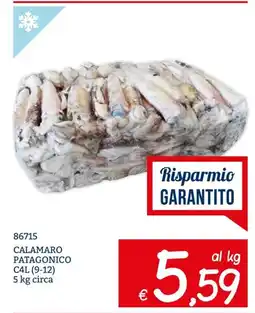 Zona Calamaro Patagonico offerta