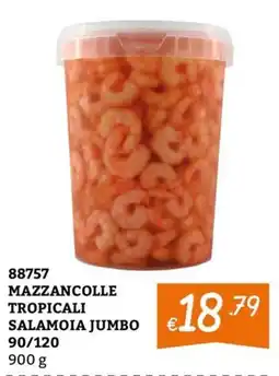 Zona Mazzancolle Tropicali Salamoia Jumbo offerta