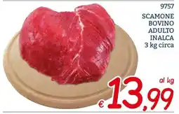 Zona Scamone bovino adulto INALCA offerta