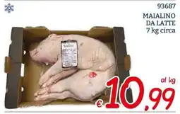 Zona Maialino da latte offerta
