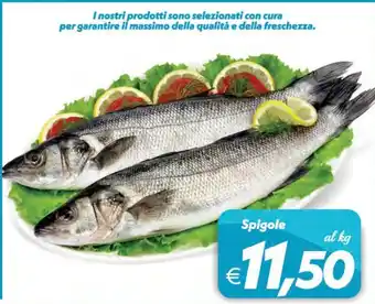 Iper Super Conveniente Spigole offerta