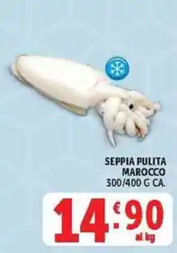 Deco Supermercati Seppia pulita Marocco offerta