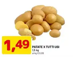 DPiù Patate x tutti usi offerta