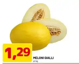 DPiù Meloni Gialli offerta