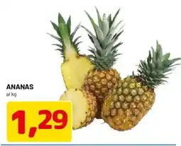DPiù Ananas offerta