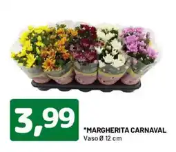 DPiù Margherita Carnaval offerta