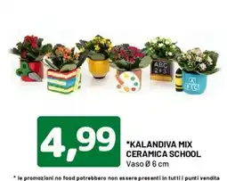 DPiù Kalandiva Mix Ceramica School offerta