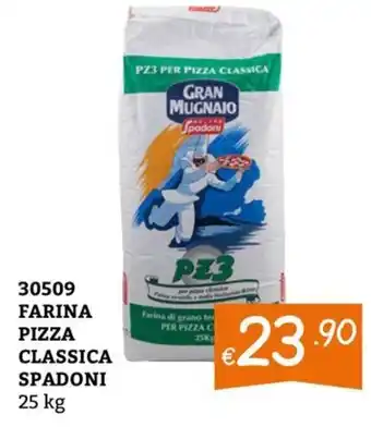 Farina pizza classica Spadoni