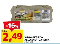 DPiù Le Campagnole uova medie offerta