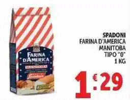 Deco Supermercati Farina d'America Manitoba offerta