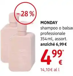 dm drogerie markt Monday shampoo o balsamo professionale offerta