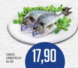Supermercati Piccolo Orata Orbetello offerta