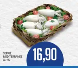 Supermercati Piccolo Seppie mediterranee offerta