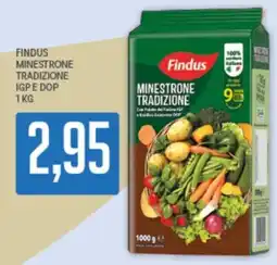 Supermercati Piccolo Findus Minestrone Tradizione offerta