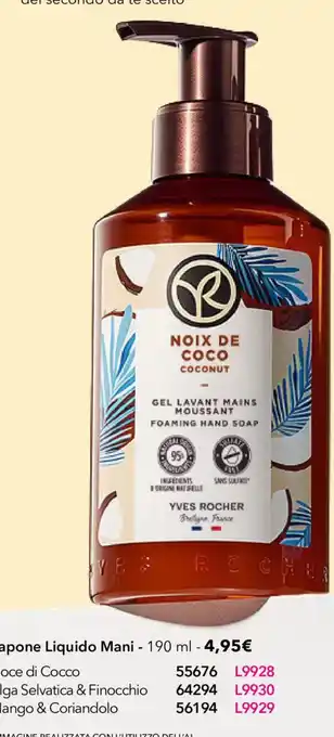 Gel Lavante Mani Noix de Coco