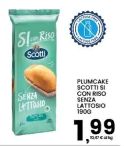 Interspar Plumcake Scotti si con riso senza lattosio offerta