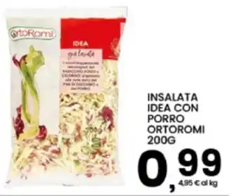 Insalata idea con porro ortoromi