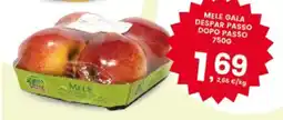 Interspar Mele Gala offerta