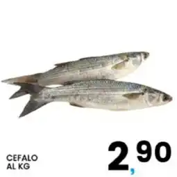 Interspar Cefalo offerta