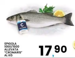 Interspar Spigola allevata Cromaris offerta