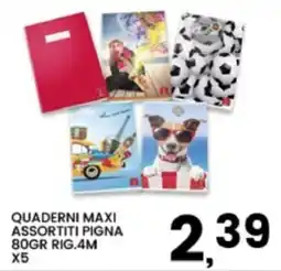 Interspar Quaderni maxi assortiti Pigna offerta