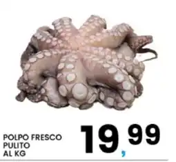 Interspar Polpo fresco pulito offerta