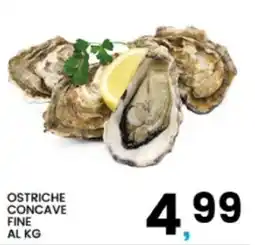 Interspar Ostriche concave fine offerta