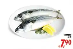 Deco Superstore Sgombro offerta