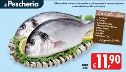 Deco Superstore Oraie offerta