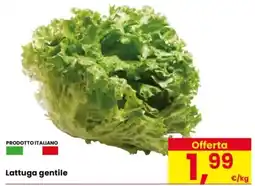 Despar Lattuga gentile offerta