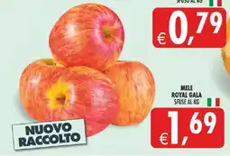 Deco Superstore Mele Royal Gala offerta