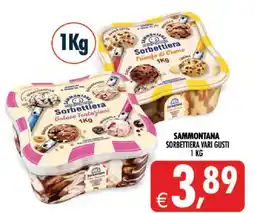 Deco Superstore Sammontana Sorbettiera vari gusti offerta