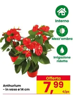 Despar Anthurium offerta