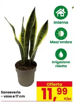 Despar Sanseveria offerta