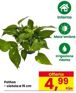 Despar Pothos offerta
