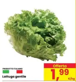 Eurospar Lattuga gentile offerta