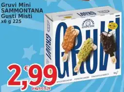 Market Ingross Gruvi Mini Sammontana offerta